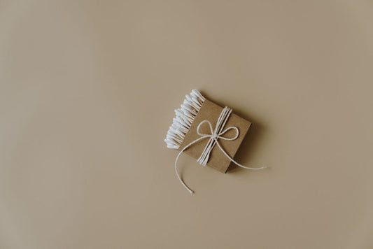 The Renter's Guide to Eco-Friendly Paper Product Alternatives