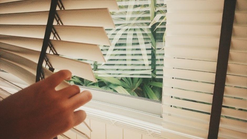 Blind Cleaning Dos and Don'ts: The Complete Guide to Restoring Light and Lifespan