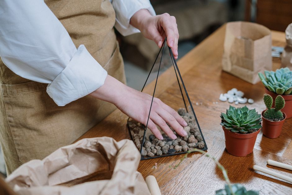 The Complete Guide to Essential Indoor Houseplant Tools for Small Spaces