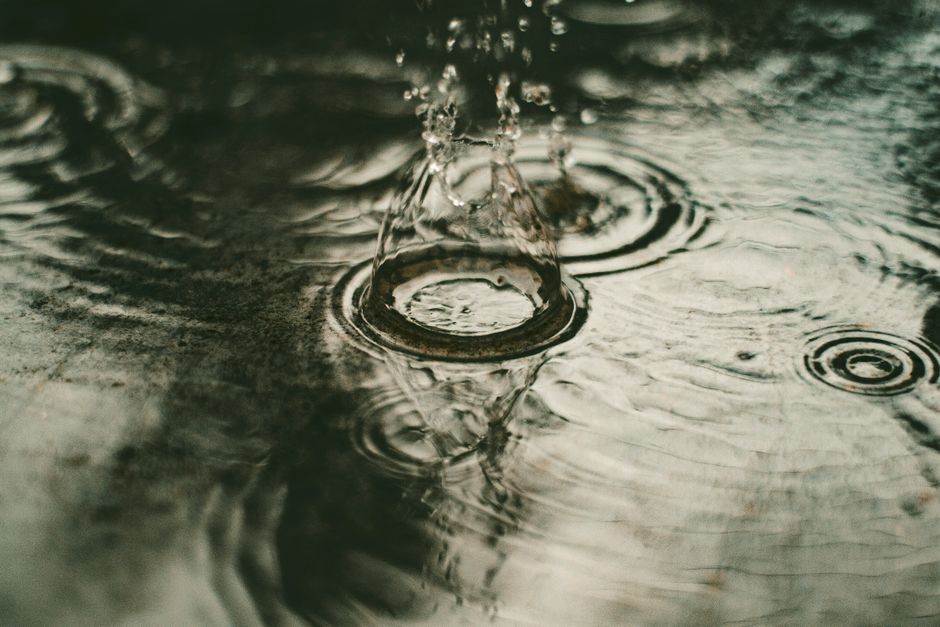 Rainwater Harvesting for Beginners: A Complete Guide to Starting Small and Scaling Smart