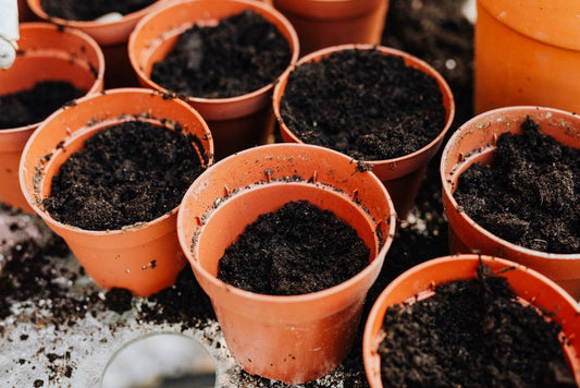 DIY Alternatives for Growing Your Own Food: Ditch Store-Bought Tools and Supplies