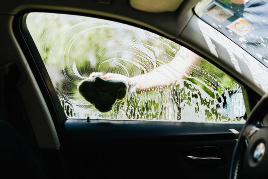 The Long Road Survivalist: Essential Car Interior Cleaning and Maintenance Kit for Extended Trips