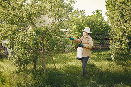 Insecticides That Actually Work: A Complete Guide to Effective Pest Control for Plants