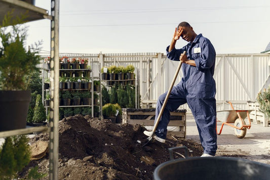 The Busy Gardener’s Guide to Soil Preparation: Five Systems That Work While You Don’t