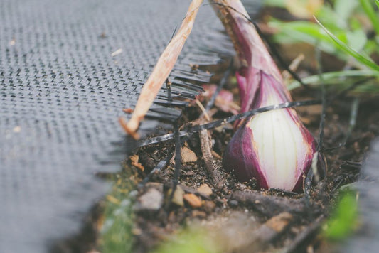 Maximizing Mulch in Minimal Spaces: A Guide to Small Garden Bed Coverage