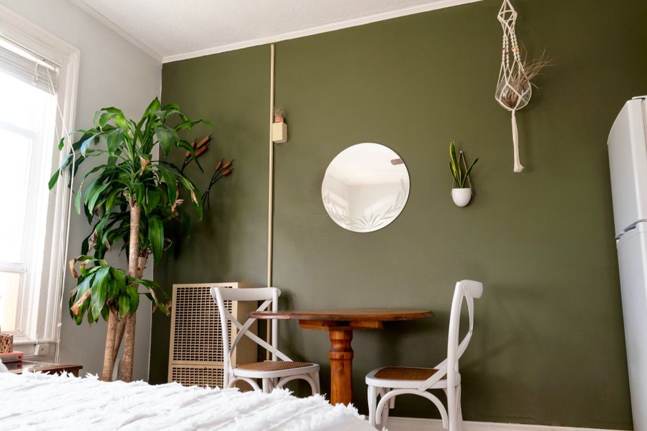 Seed Starting Indoors in Small Apartments: A Complete Guide to Maximizing Limited Space