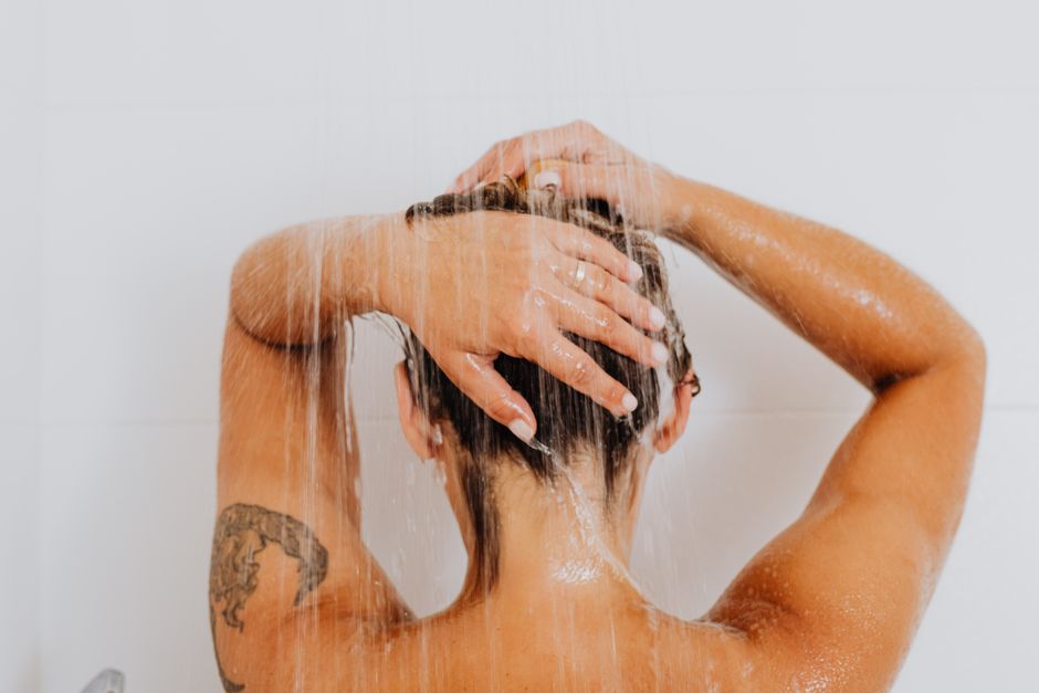 Brush vs. Wipes vs. Shampoo: Which Skin & Coat Routine Actually Works for Your Pet?