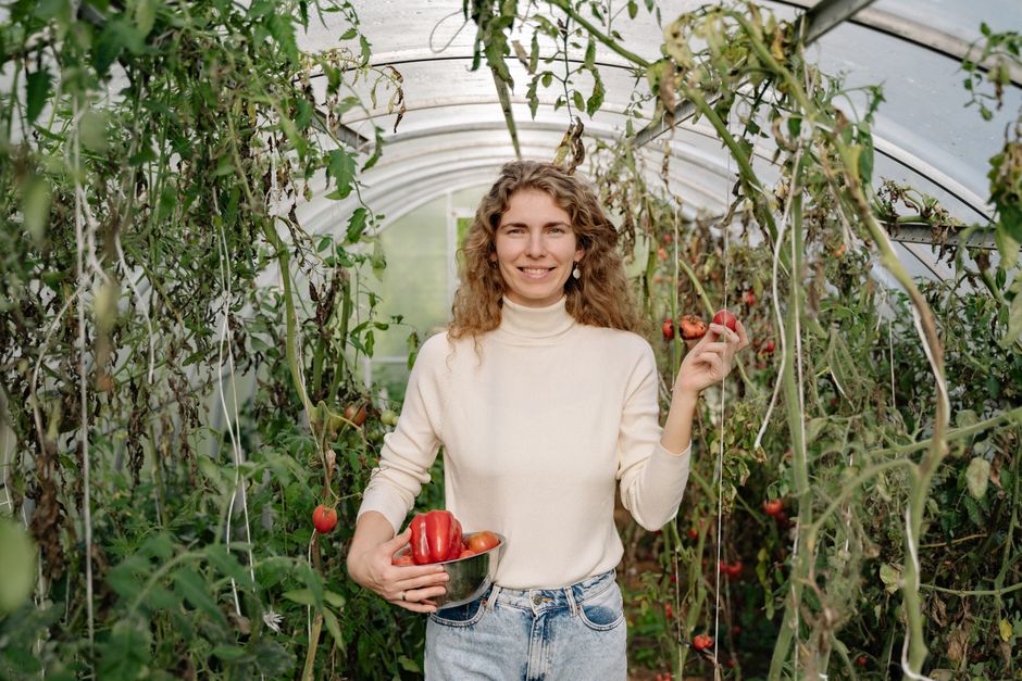 The Complete Guide to Maximizing Yield in Container Gardens