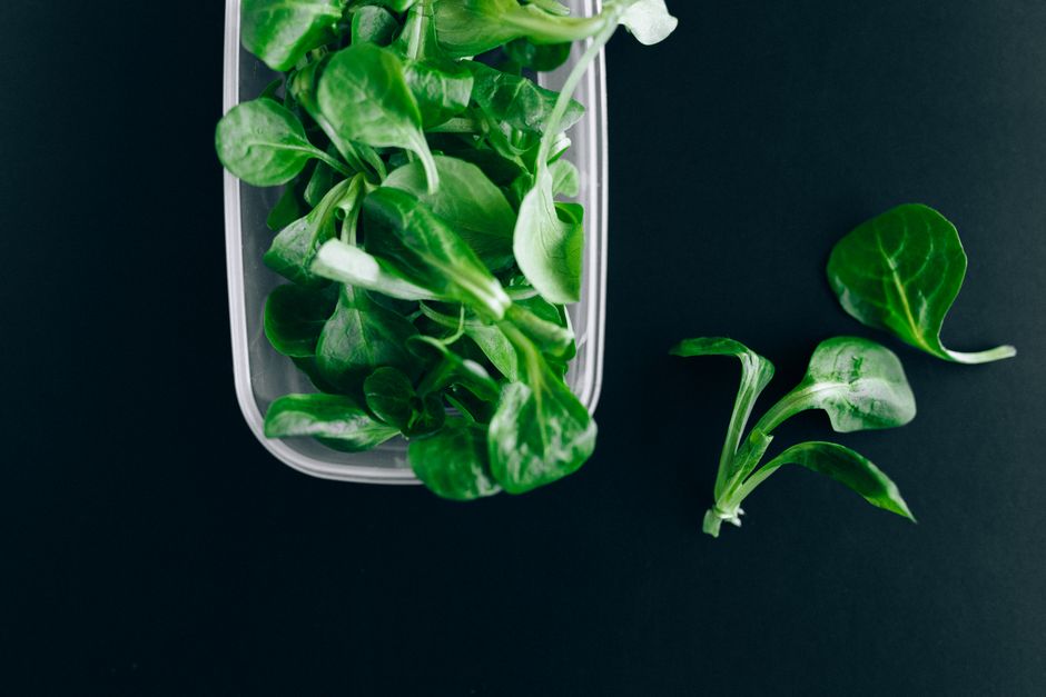 How to Keep Salad Greens Fresh for Two Weeks with Proper Storage and Tools