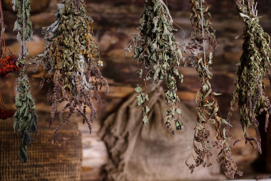 How to Keep Fresh Herbs Alive Longer Without Wilting: The Ultimate Step-by-Step Guide