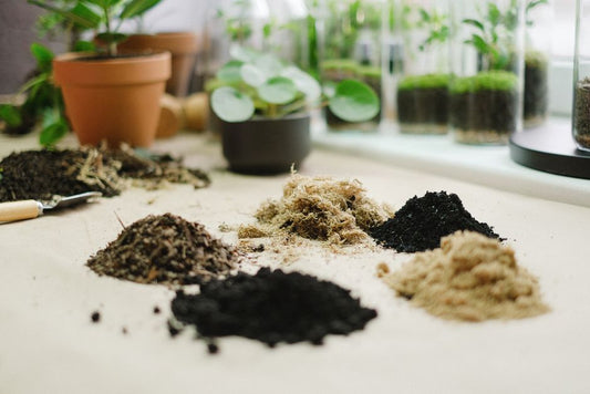 The Indoor Soil Prep Blueprint: Transform Your Houseplants with This Essential Tool System