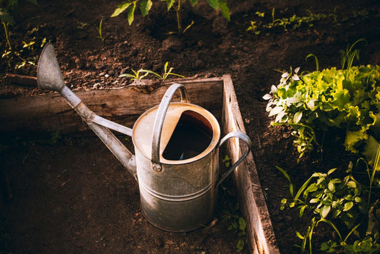 The Essential Tool System for Raised Bed Gardening Success