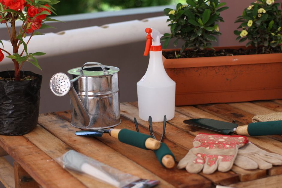 The Indoor Gardener's Essential Toolkit: How to Stop Guessing and Start Growing with Confidence