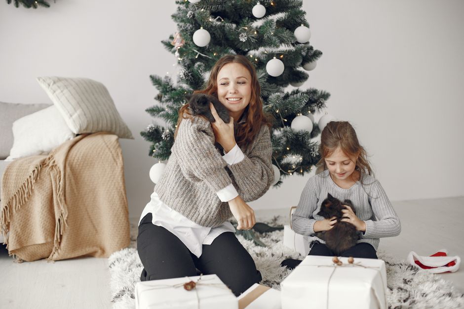 Winter Kitten Care: Essential Tips for a Cozy and Healthy Season