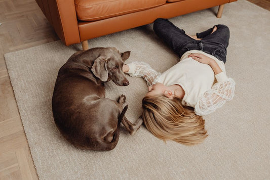 How to Safely and Effectively Remove Pet Stains Without Damaging Your Home
