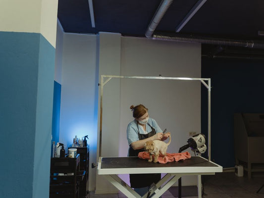 The Multi-Pet Grooming Harmony: Mastering Shared Spaces and Gentle Routines for Cats, Dogs, and Small Animals