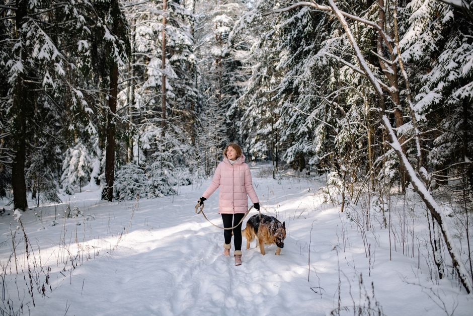 Winter Weight Management: Keep Your Pet Lean and Healthy in Cold Months