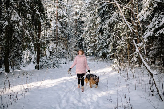 Winter Weight Management: Keep Your Pet Lean and Healthy in Cold Months