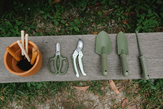 The Essential Rose Care Tool System: From Soil to Bloom