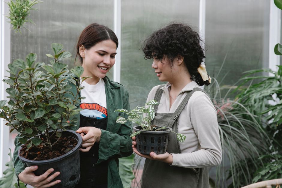 Permaculture Hacks for Urban Gardeners That Actually Work
