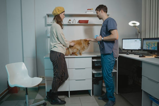 Parasite Prevention in Small Apartments: A Practical Guide for Pet Owners