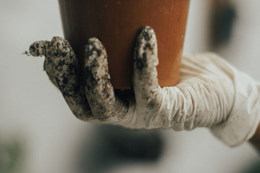 The Complete Guide to Essential Fertilizing Tools Every Gardener Needs