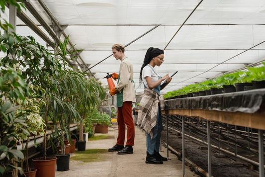 Plant Diseases That Actually Work: Practical Treatments That Save Your Garden