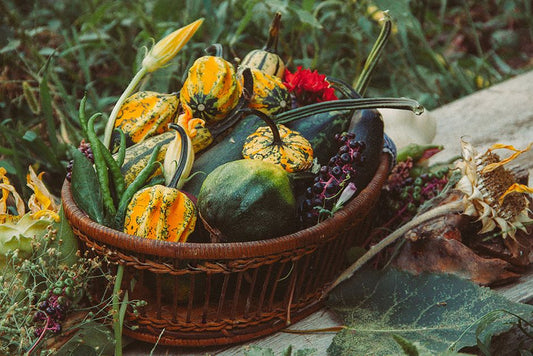 The Beginner's Complete Guide to Seasonal Gardening: From Sowing to Harvest