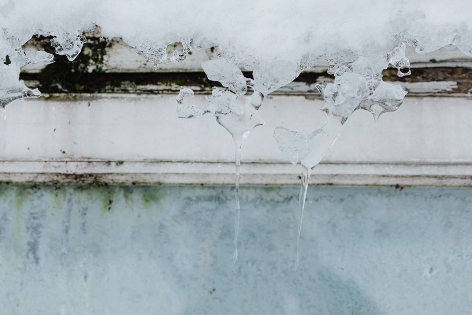 Winter Litter Box Survival Guide: How to Manage Freeze, Smell, and Mess When Temperatures Drop