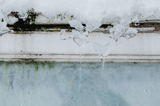 Winter Litter Box Survival Guide: How to Manage Freeze, Smell, and Mess When Temperatures Drop