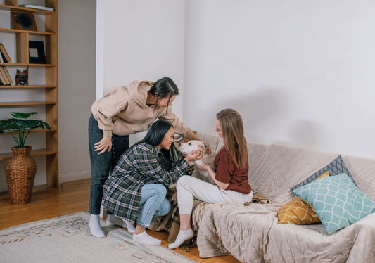 How to Welcome a New Pet Without Breaking the Bank: A Budget-Friendly Starter Guide
