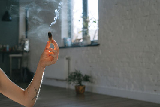 Natural Air Fresheners for Small Apartment Living: A Complete Guide to Fresh Air Without the Waste