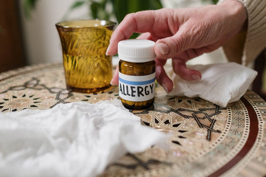 The Complete Guide to Allergy-Proofing Your Home: Essential Products for Year-Round Relief
