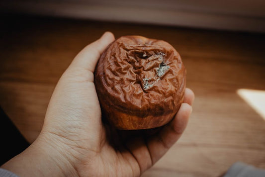 The Science of Spoilage: How Ethylene Gas and Controlled Atmosphere Reduce Kitchen Waste