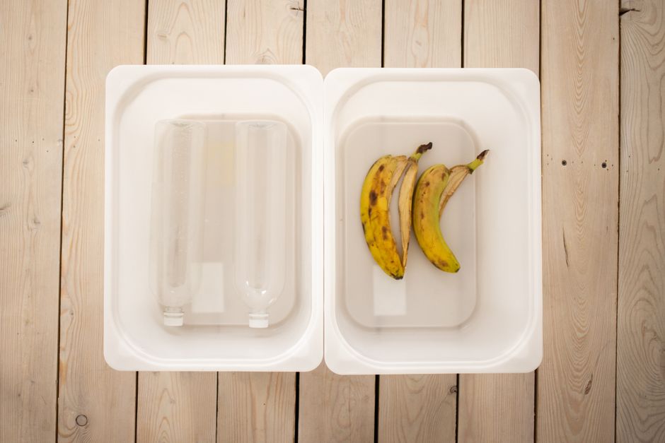 The Complete Guide to Apartment Composting Without Odor or Pests