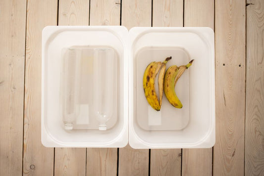 The Complete Guide to Apartment Composting Without Odor or Pests