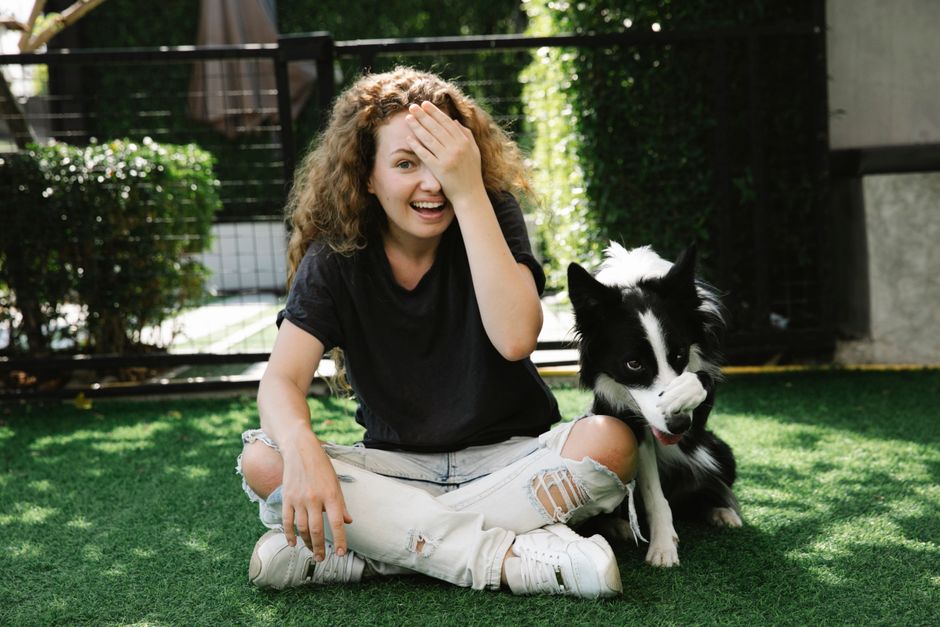 Summer Pet Odor and Stain Survival Guide: Beat the Heat with Smart Solutions