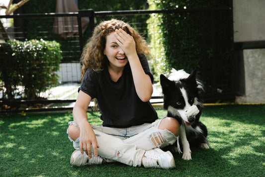 Summer Pet Odor and Stain Survival Guide: Beat the Heat with Smart Solutions