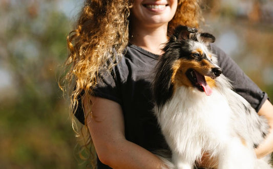 The First-Time Owner’s Guide to Pet Enrichment That Actually Works