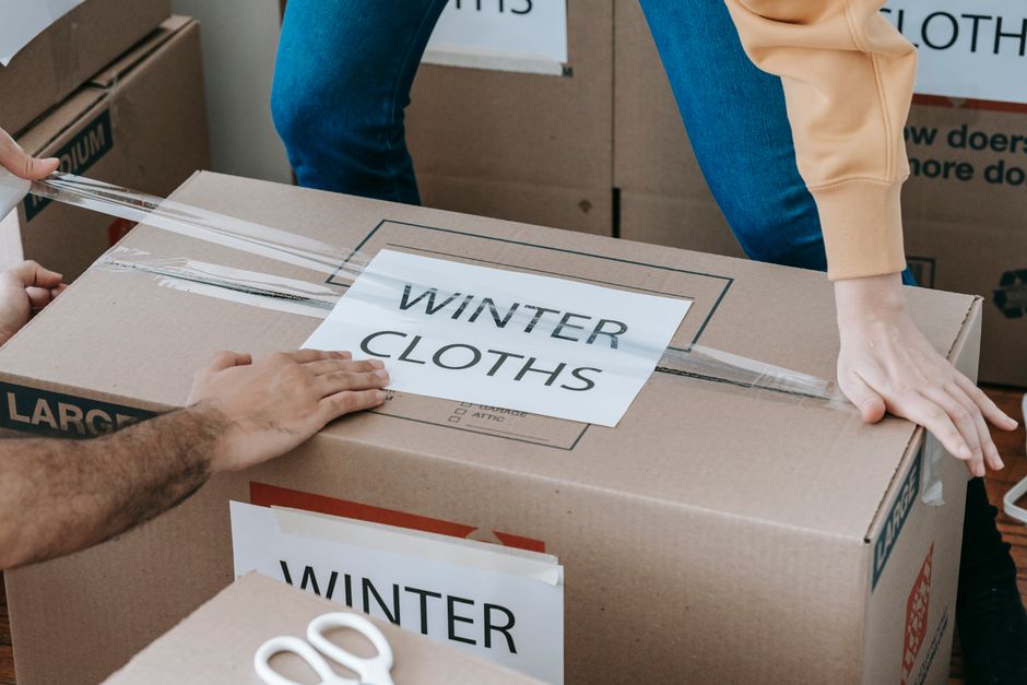 The Renter's Seasonal Storage Survival Guide: Organize Without Altering a Thing