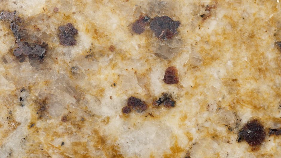 The Mold Dilemma: A Troubleshooting Guide to Stop Food Spoiling Before Its Time