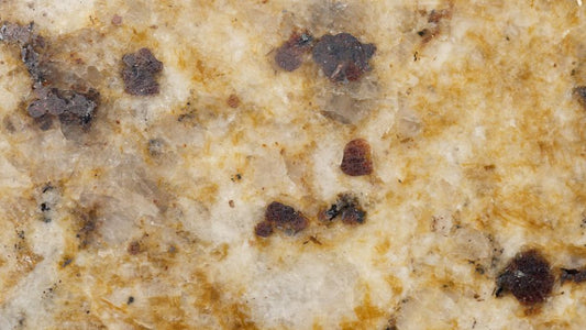 The Mold Dilemma: A Troubleshooting Guide to Stop Food Spoiling Before Its Time