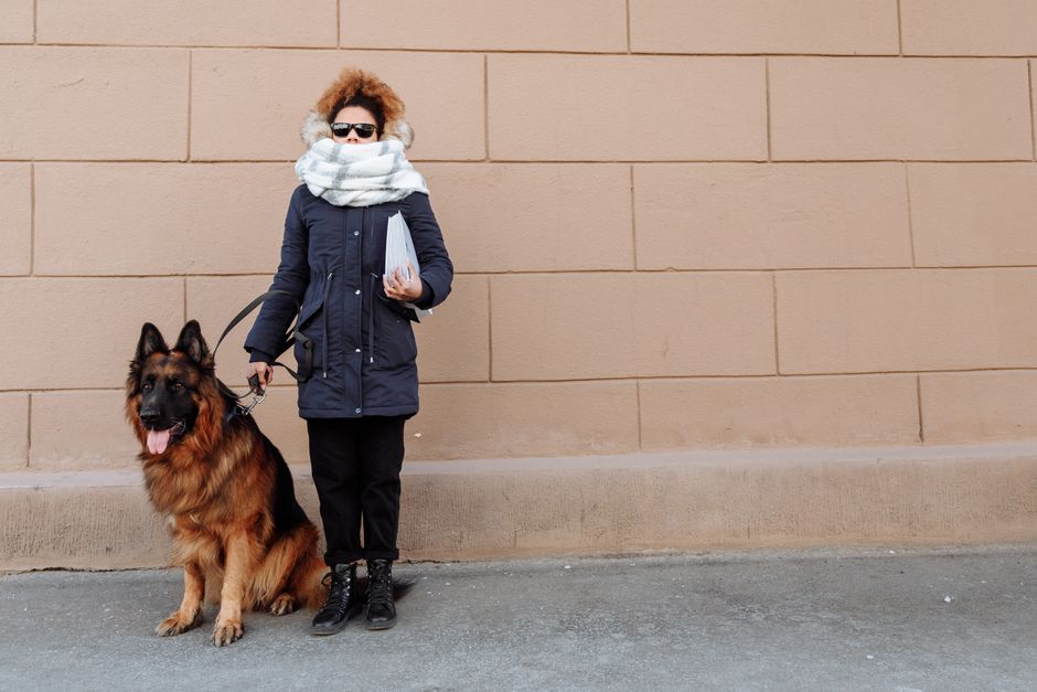 Winter Pet Odor and Stain Removal: The Complete Guide to a Fresh Home in Cold Months