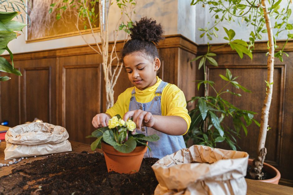 Grow Lights for Kids: How to Set Up a Fun, Safe Indoor Garden