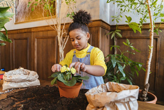 Grow Lights for Kids: How to Set Up a Fun, Safe Indoor Garden