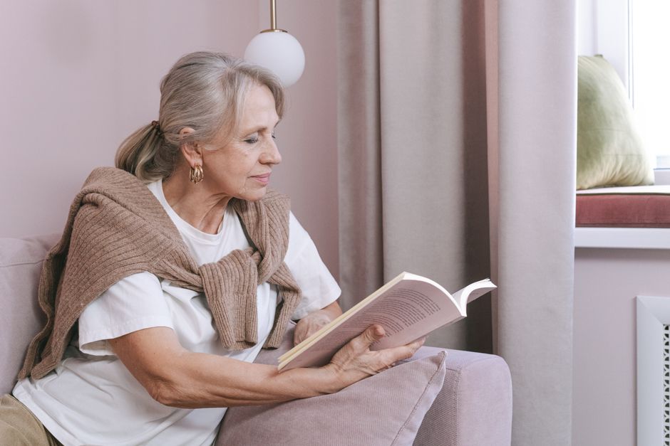 Low-Impact Enrichment Activities for Senior Pets: A Complete Guide to Comfort and Stimulation