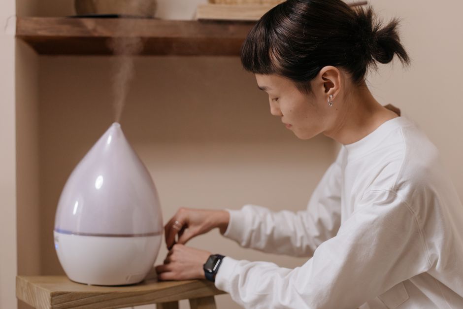 Whole House Humidifier Care for Renters: Portable Solutions and Maintenance Hacks