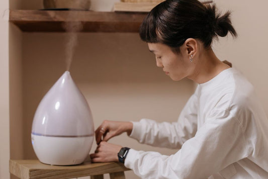 How to Clean and Maintain a Whole House Humidifier for Beginners: Essential Care Tips