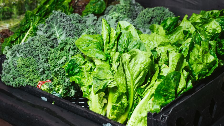 How to Keep Leafy Greens Crisp for Two Weeks: The Ultimate Guide to Fresh Spinach, Kale, and Lettuce Storage