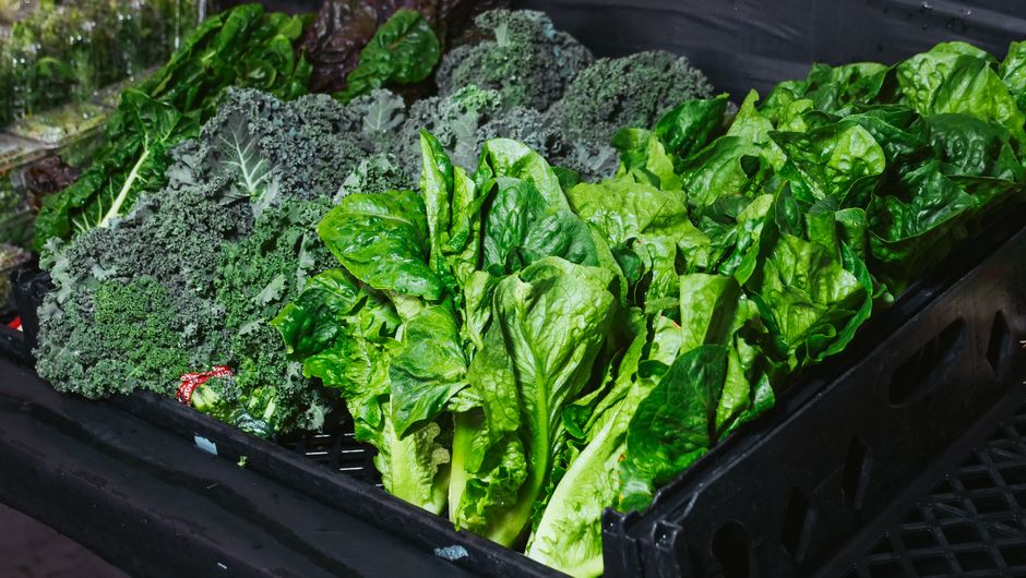The Ultimate Guide to Storing Leafy Greens So They Stay Fresh for Weeks